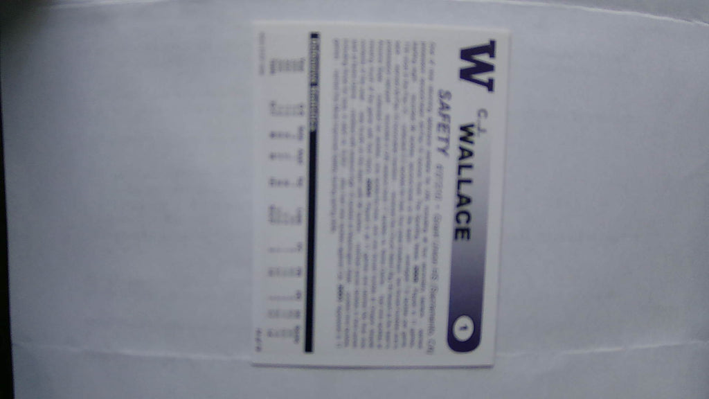 2006 High Step Washington Huskies C.J. Wallace #14