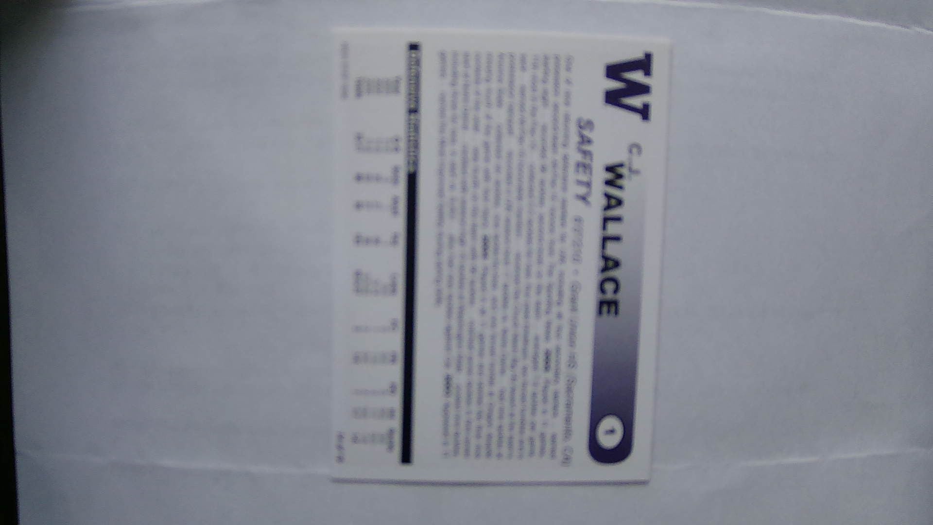 2006 High Step Washington Huskies C.J. Wallace #14
