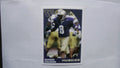 2006 High Step Washington Huskies Dashon Goldson #4